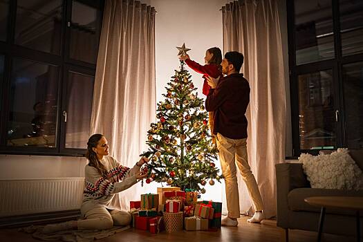 Москвичи бросились скупать один вид новогоднего декора