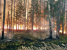 Пожары в Южной Корее: число жертв выросло до 15, власти эвакуируют заключенных