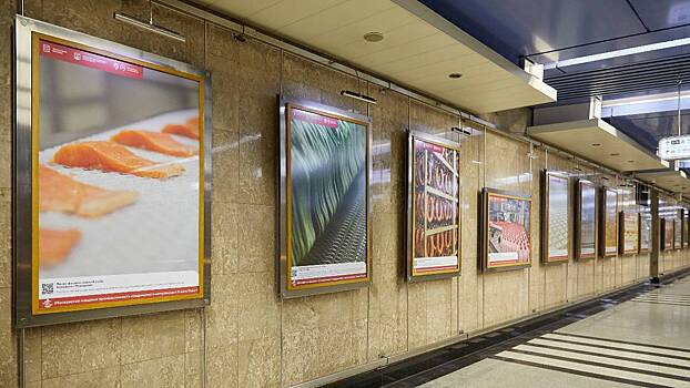 Овчинский: Фотовыставка «Вкусная Москва» открылась в метро