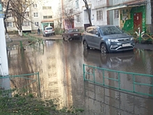 Активисты ОНФ призвали власти решить проблему «воронежской Венеции»