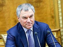 Володин: Развитие физкультуры не стоит «в чистом виде» сводить к финансированию