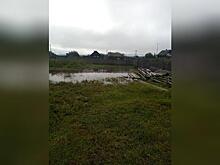 Хохотуй превращается в болото – жители села