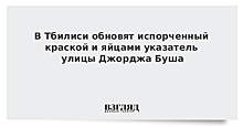 В Тбилиси обновят испорченный краской и яйцами указатель улицы Джорджа Буша