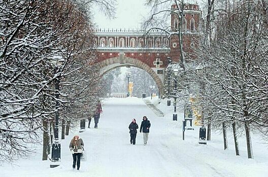 Синоптик спрогнозировал тридцатиградусные морозы в европейской части России