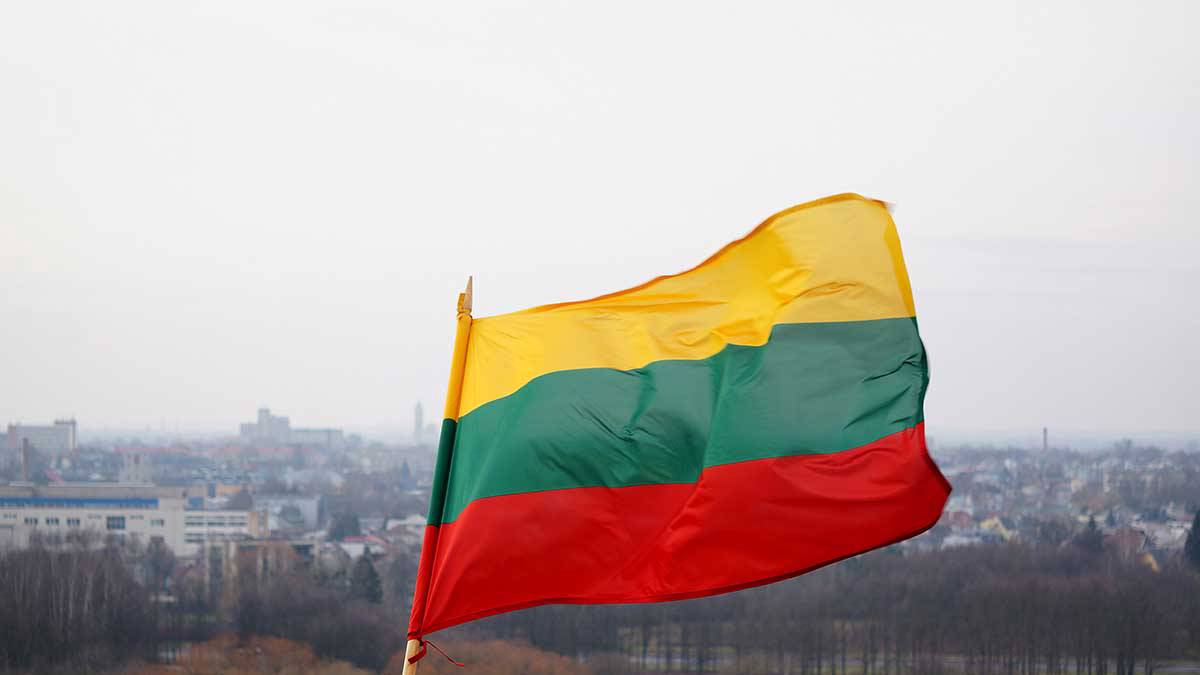 Власти Литвы снесли памятную стелу освободителям Лудзы от нацистов
