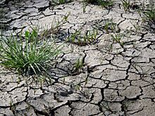 В России прокомментировали зарубежные прогнозы об «адском климате»