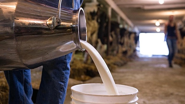 В Шаховской построят новый животноводческий комплекс и завод по переработке молока