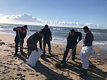 В Краснодарском крае на береговой линии появились фрагменты мазута
