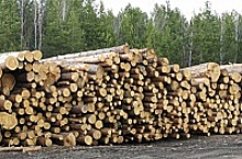 RFID-метки учета древесины «Микрона» отправятся в Иркутскую область