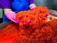 Названы три главных импортера российской икры