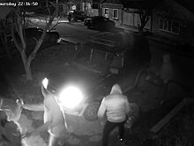Суд признал бездействие следователя в деле о нападении на эколога Рудомаху
