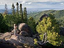 Участок земли заповедника «Столбы» продали по фальшивым документам