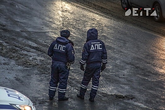 Семейную пару нарушителей задержали инспекторы ДПС в Приморье