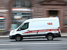 В иркутском поселке, где сгорели 28 домов, в течение месяца проведут рекультивацию земли