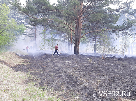 Трава загорелась в Серебряном бору в Кемерове