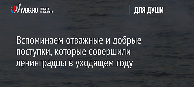 Вспоминаем отважные и добрые поступки, которые совершили ленинградцы в уходящем году