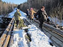 «И мост трухлявый». Жители Улитино не могут выбраться из своего посёлка