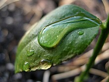 Народный календарь. Что нужно сделать 19 июля, чтобы быть здоровым целый год