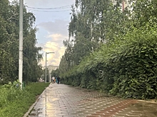 В Омскую область возвращаются дожди и грозы