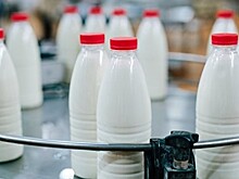 Объём господдержки молочной отрасли Удмуртии на 12 лет превысит 23 млрд рублей