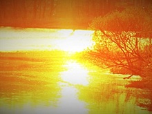 Минприроды Коми сообщило, что дальнейшее попадание нефтепродуктов в Колву предотвращено