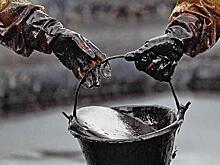 «Транснефть» боится остановки отрасли из-за «регуляторной гильотины»
