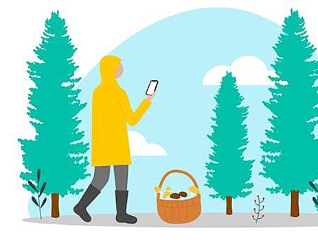 Как собраться в лес, чтобы благополучно вернуться: 10 простых правил от "ЛизаАлерт" и Билайна