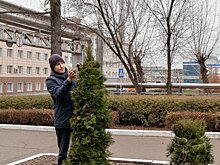 На Воткинском заводе за лето высажено более 35 тысяч цветов