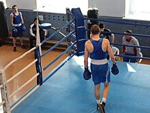 Увернувшегося от ударов в голову омского боксера ввели в кому