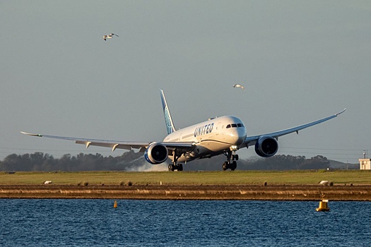 "РГ" рассказывает о случаях столкновения самолетов с птицами