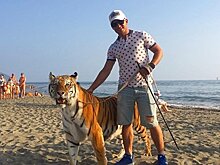 Туристов в Крыму попросили не фотографироваться с животными