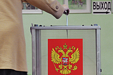 Россияне захотели голосовать через интернет