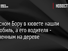 В Красном Бору в кювете нашли автомобиль, а его водителя - повешенным на дереве