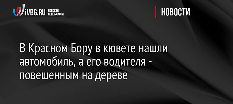 В Красном Бору в кювете нашли автомобиль, а его водителя - повешенным на дереве