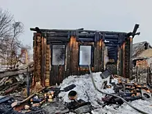 От дома осталась одна стена: в Самарской области в пожаре погиб пенсионер