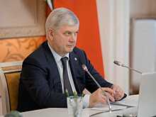 В Воронежской области реализуют стратегию развития до 2035 года