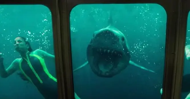 Акулы устроят охоту на пассажиров тонущего лайнера в новом триллере Йоханнеса Робертса