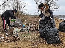 В Тольятти прошел экологический субботник на берегу Волги