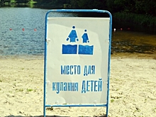«Дебилы у руля»: белгородцы страдают от жары и «административных оленей»