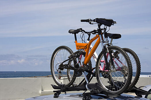 Decathlon откроет в парках пункты аренды спортинвентаря