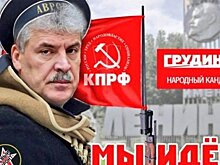 Причиной обыска в псковском штабе Грудинина стала жалоба избирателя на незаконную агитку