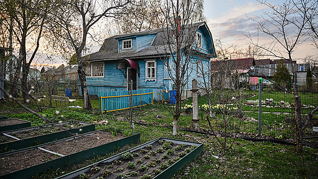 В Союзе садоводов России прокомментировали меры поддержки дачников
