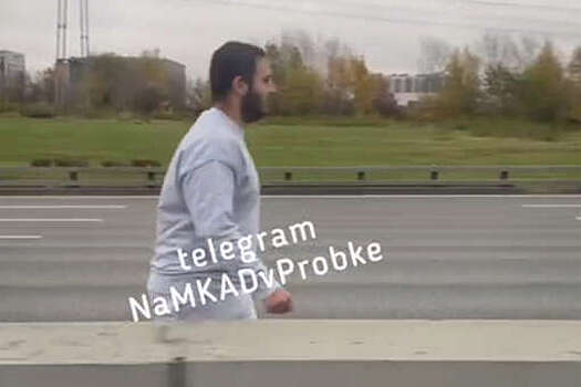На видео попало, как мужчина шел пешком по МКАД