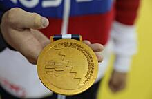 Ударный труд: приморский спортсмен стал призером чемпионата Европы по смешанному боевому единоборству