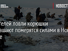 Любителей ловли корюшки приглашают померятся силами в Новой Ладоге