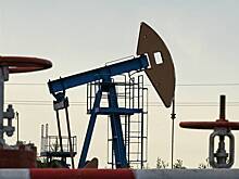 В Европе напомнили об отсутствии альтернатив российской нефти