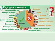 Кости становятся хрупкими? Кого и почему выбирает остеопороз