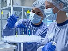Гарбузов: Московские производители выпускают инновационную продукцию для медицины