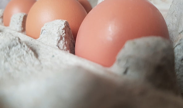 В Воронеже в магазинах «Магнит» неправильно хранили куриные яйца