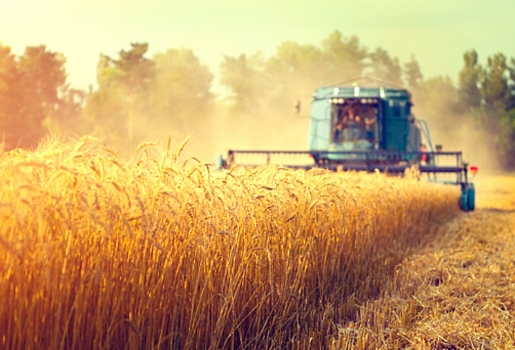 Россельхозбанк направил свыше миллиарда рублей на поддержку сезонно-полевых работ в Омской области